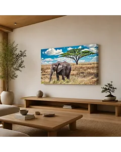 ELEFANTE Y CRÍA