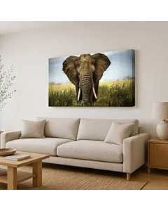 ELEFANTE FRONTAL II