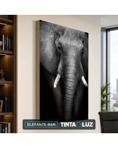 ELEFANTE B&N