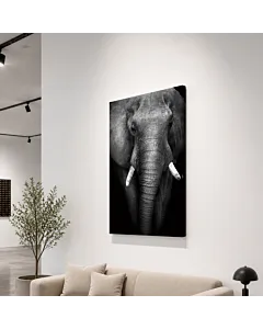 ELEFANTE B&N