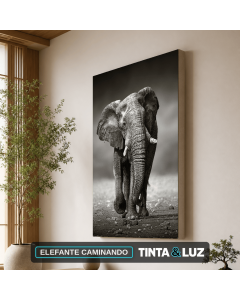 ELEFANTE CAMINANDO