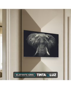 ELEFANTE GRIS