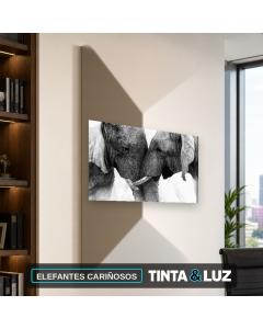 ELEFANTES CARIÑOSOS