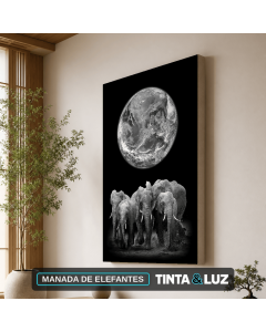 MANADA DE ELEFANTES