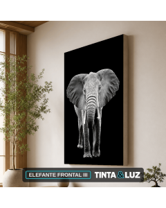 ELEFANTE FRONTAL III