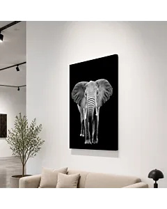 ELEFANTE FRONTAL III