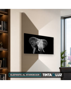 ELEFANTE AL ATARDECER