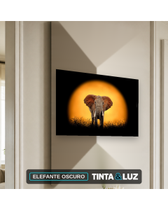 ELEFANTE OSCURO
