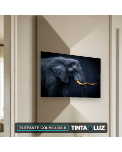 ELEFANTE COLMILLOS II