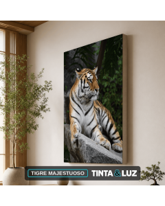 TIGRE MAJESTUOSO