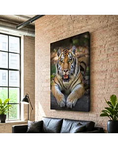 TIGRE EN LA SELVA