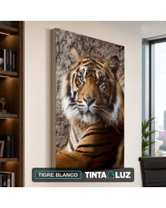 TIGRE BLANCO