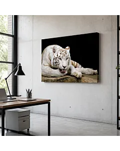 LOBO GRIS