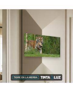 TIGRE EN LA HIERBA