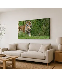 TIGRE EN LA HIERBA