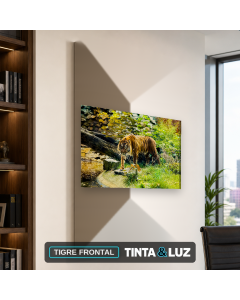 TIGRE FRONTAL