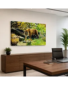 TIGRE FRONTAL