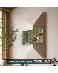 TIGRE BLANCO RETRATO