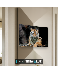 LINCE