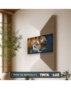 TIGRE DE BENGALA II