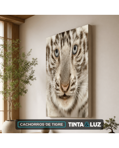 CACHORROS DE TIGRE