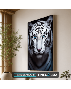 TIGRE BLANCO III
