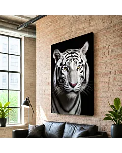 TIGRE BLANCO IV