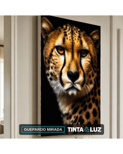 GUEPARDO MIRADA