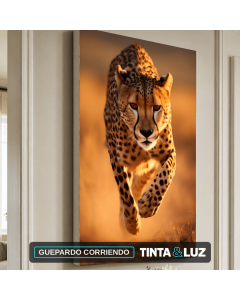 GUEPARDO CORRIENDO