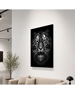 TIGRE B&N