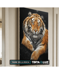 TIGRE EN LA ROCA