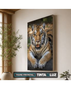 TIGRE FRONTAL