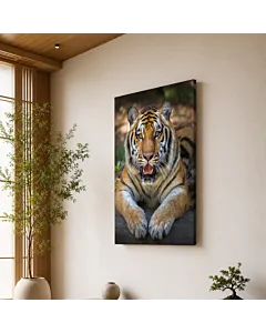 TIGRE FRONTAL