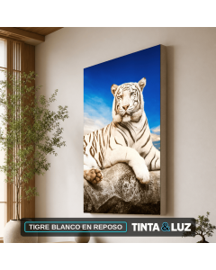TIGRE BLANCO EN REPOSO