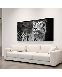 TIGRE BLANCO RETRATO