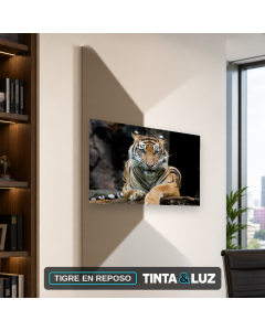TIGRE EN REPOSO