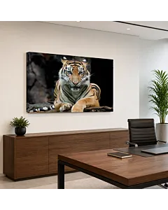 TIGRE EN REPOSO