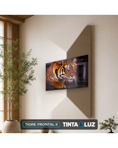 TIGRE FRONTAL II