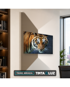 TIGRE MIRADA