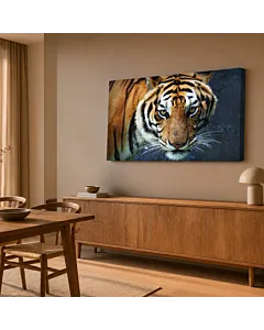 TIGRE MIRADA