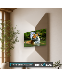 TIGRE EN EL AGUA III
