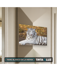 TIGRE BLANCO EN LA HIERBA