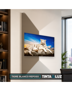 TIGRE BLANCO REPOSO