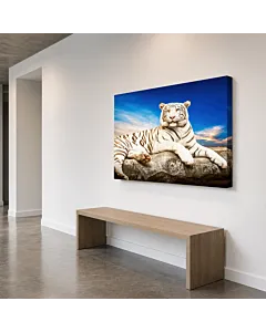TIGRE BLANCO REPOSO