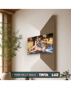 TIGRE EN LA JAULA
