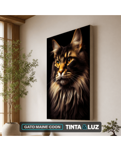 GATO MAINE COON