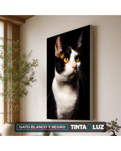 GATO BLANCO Y NEGRO