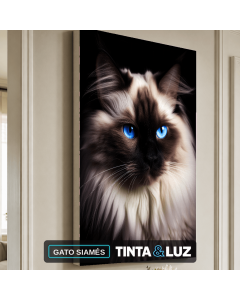 GATO SIAMÉS