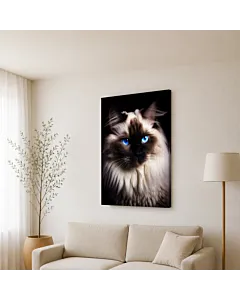 GATO SIAMÉS