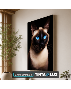 GATO SIAMÉS II